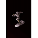 Flash