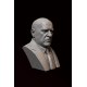 Hank Schrader Büst