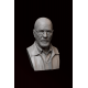 Heisenberg Büst