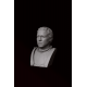 Brienne of Tarth Büst Brienne of Tarth Büst