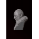 Davos Seaworth Büst