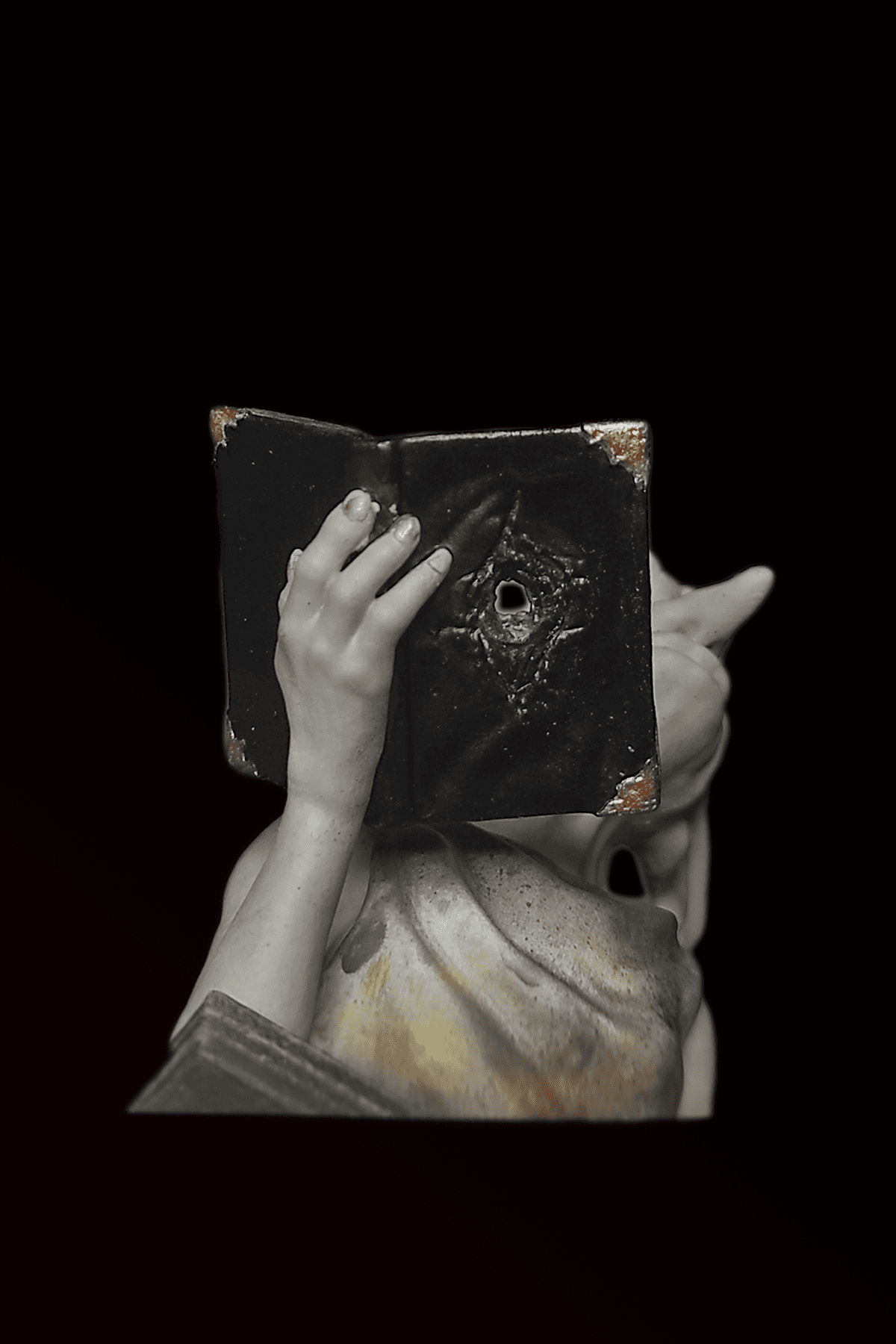 Dobby Tom Riddle Book