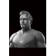 İron man Büst