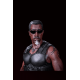 Blade Wesley Snipes 2