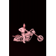 Ghost Rider Motorsiklet