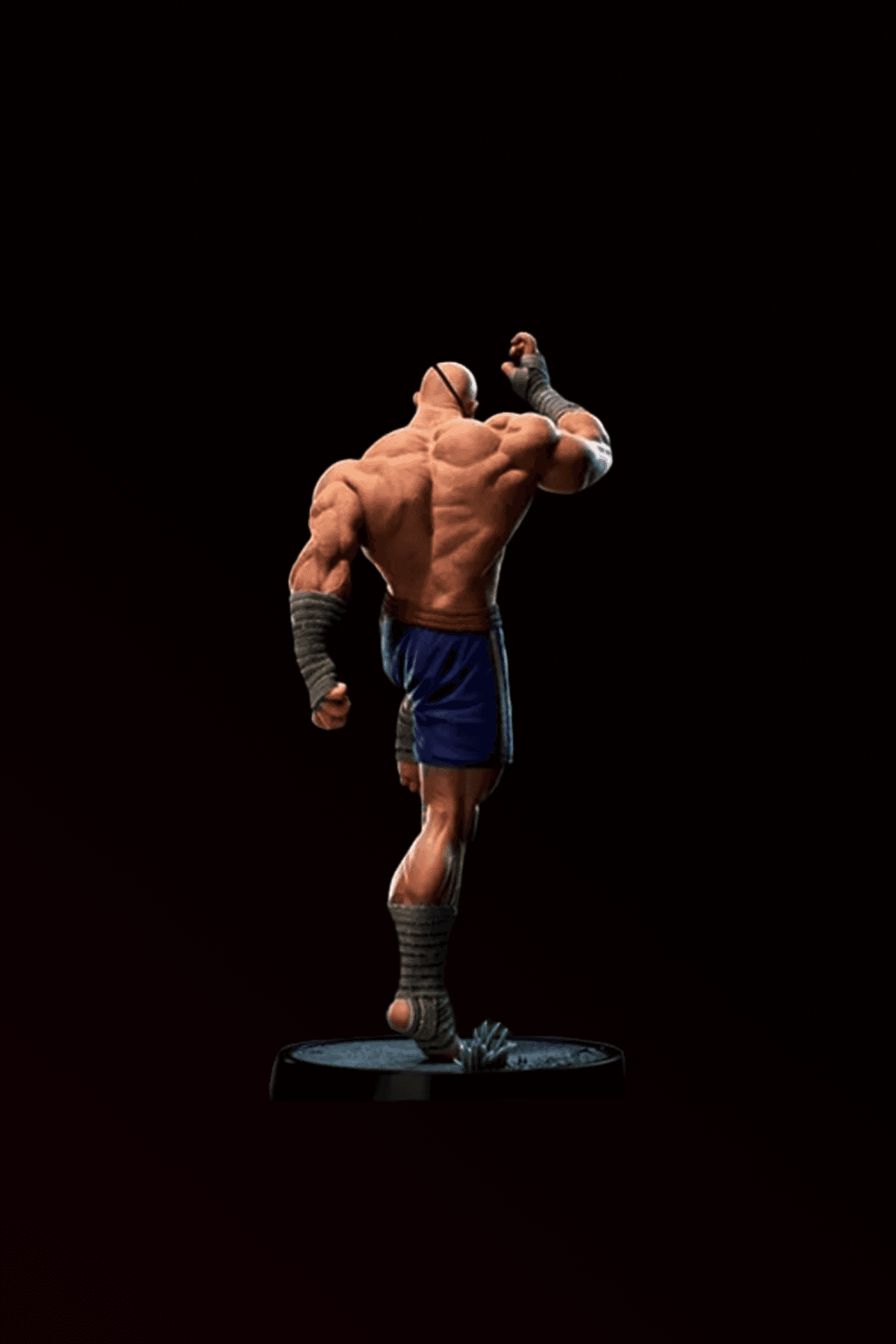 Sagat - Street Fighter